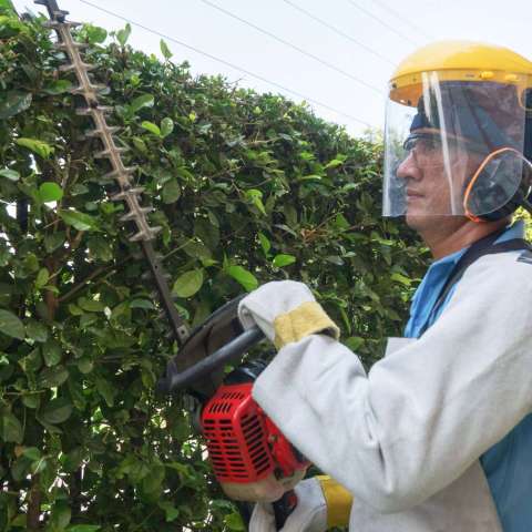 Mantenimiento de jardines y zonas verdes